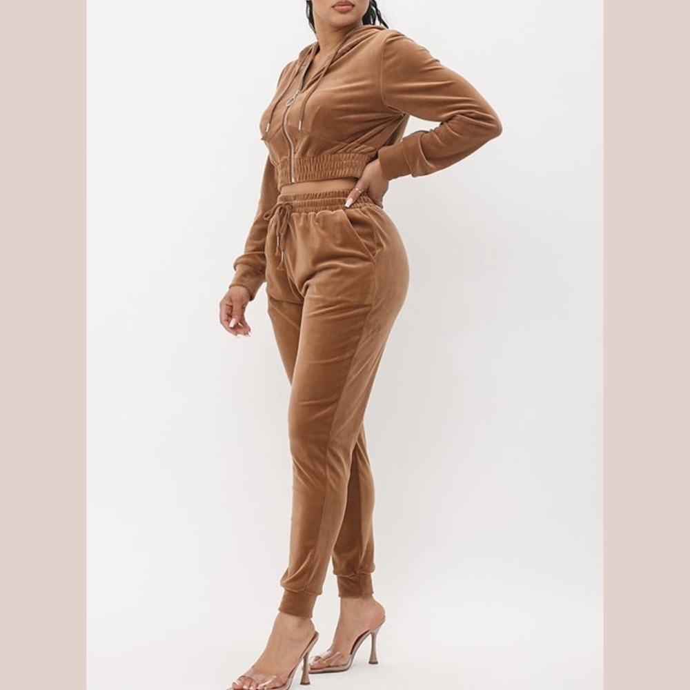 Brown Velour Jogger Set With Crop Hoodie - Picture 3 of 10